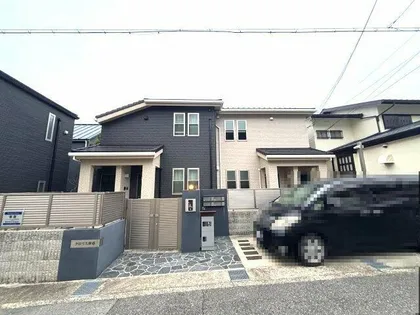 クロリス摩耶の画像