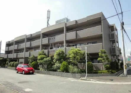 コモドの画像