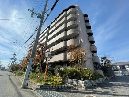 大阪府泉大津市北豊中町1丁目【マンション】の外観