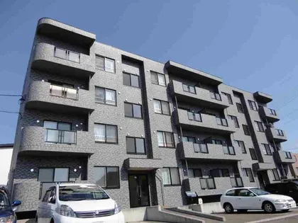 スピニッチ フィールドの画像