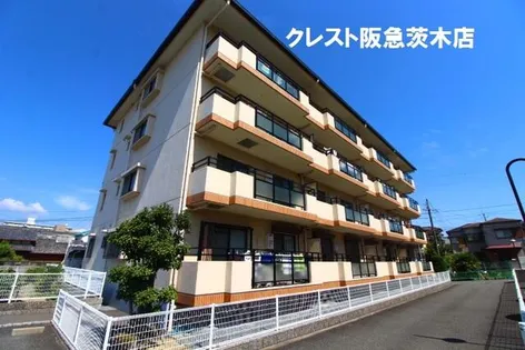 シャロームDの画像