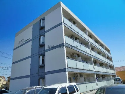 ソフィアライトの画像