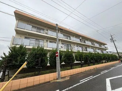 柏原ハイツ【301号室】の外観