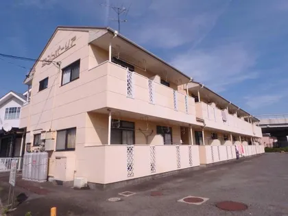 セントポーリアの画像