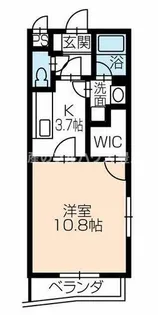 アヴェニュー美和【3階】の間取り