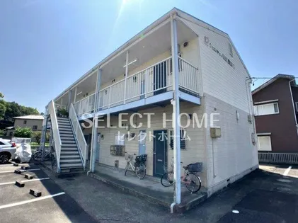 シェルティKUWAGO1の画像