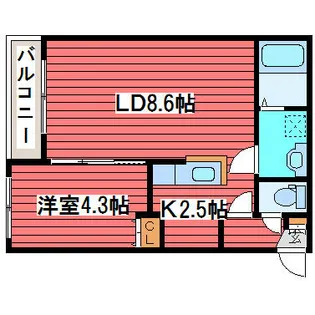 フェリシアコート【3階】の間取り