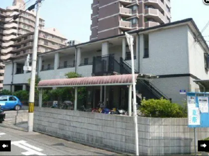 PALACE 50の画像