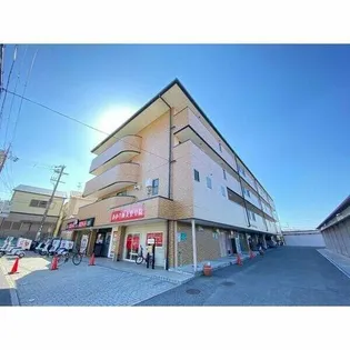 大阪府堺市東区日置荘西町3丁【マンション】の外観