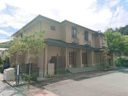 レグルスの画像