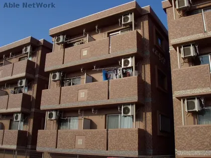 シーズンの画像