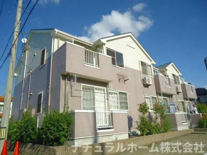 フレッシュ プラムの画像