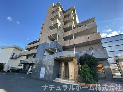 エクシードⅦの画像
