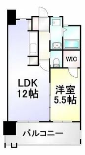 フェルト1113【902号室】の間取り