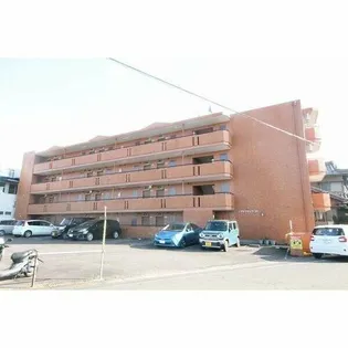 エグゼクティブ33の画像