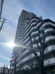 ローレルハイツ神戸1号棟の画像