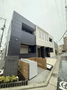 SCHAAN CARTERの画像