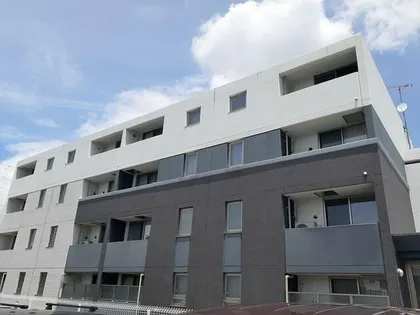 フェリスの画像