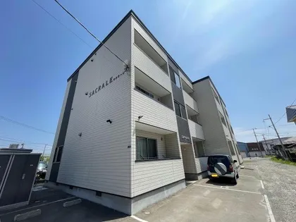 サクラーレの画像