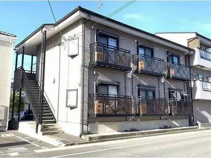 チェリーブロッサムの画像