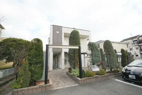 リバティK Mの画像