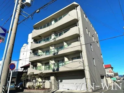 サンフレアの画像