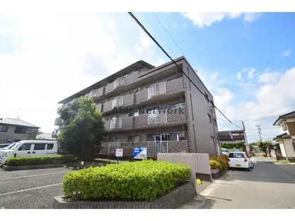 サンハイツ白山の画像