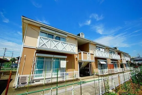 スウィートオクトパスの画像