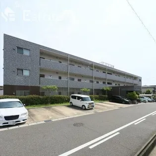 CENTRAL FERSの画像