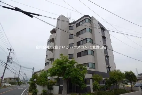 プレアデスの画像