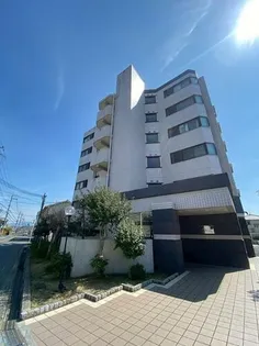 プレアデスの画像