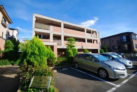 プリムローズの画像