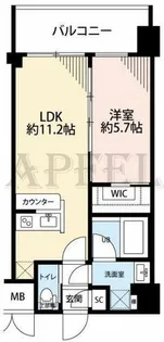 グランカーサ新大阪SOUTH【6階】の間取り