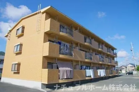 サンテラス福井【305号室】の外観