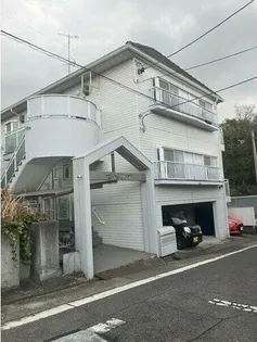 カメリアの画像