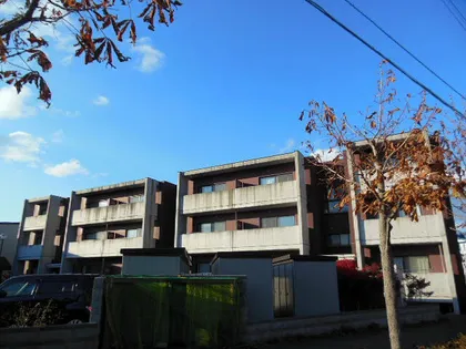 ミュー平岡の画像