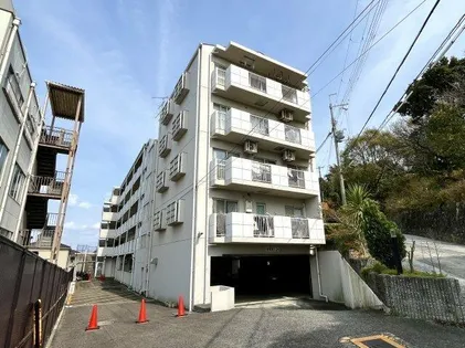 シャルマンフジ岬公園の画像