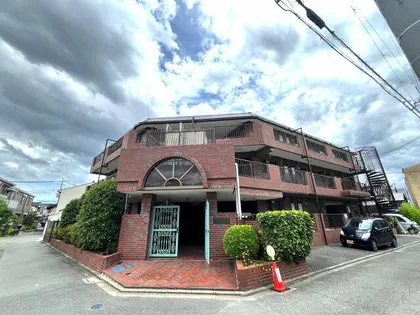 セントポーリアの画像