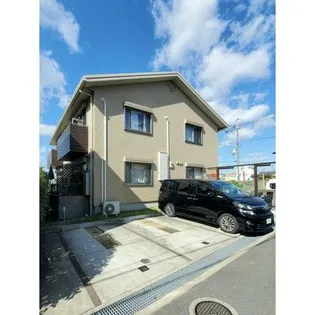 ステラヴィータの画像