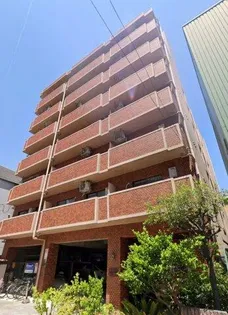 COSMO蓮井の画像