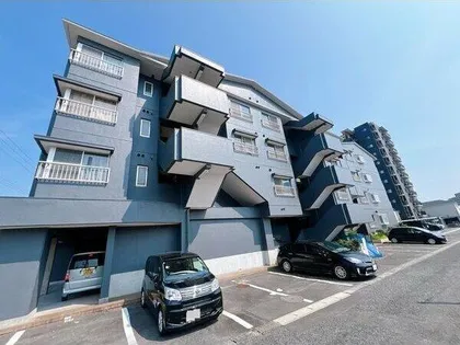 MAISON SAKAEの画像