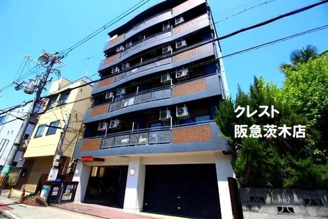 ビクトリア茨木の画像
