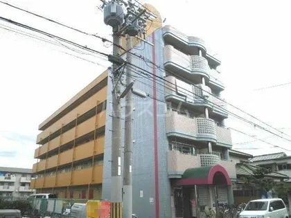 プレシャスアルモニの画像