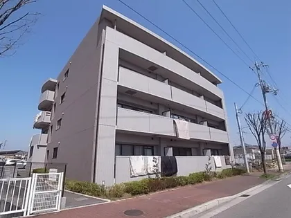 パインプロスの画像