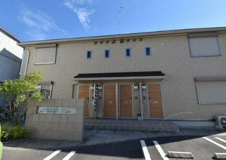 シェーン メーアの画像