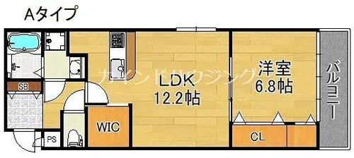 グレースコート【3階】の間取り