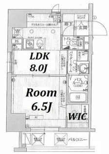 エステムコート心斎橋EASTⅢエクシード【10階】の間取り