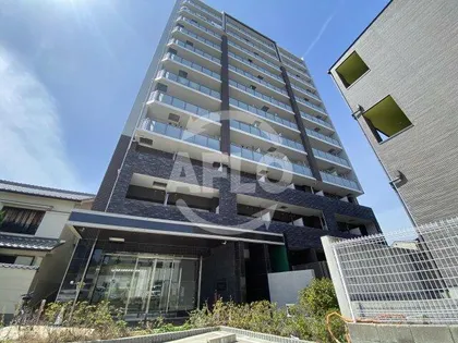 オリエンテムの画像