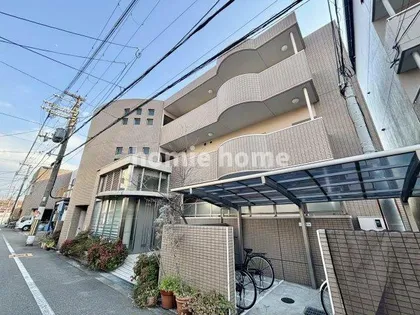 カシータミヤの画像