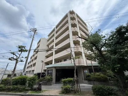 ファミールの画像